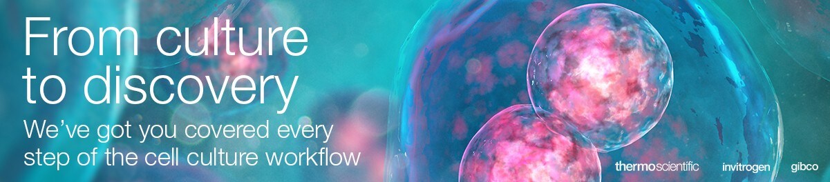 13372_original_banner_general 13372_original_banner_general